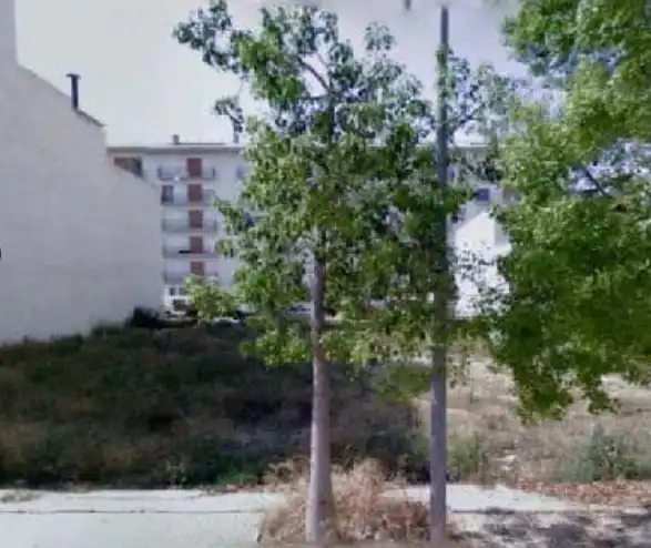 Terreny rústic en venda a Carlet, imagen 4