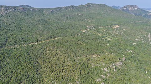 Foto 2 de Finca rústica en venta en de Moratalla Sabinar, Moratalla, Murcia