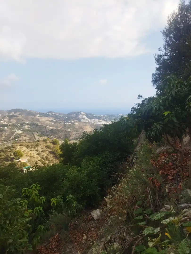 Vista exterior de Finca rústica en venda en Almuñécar amb Jardí privat, Terrassa i Piscina