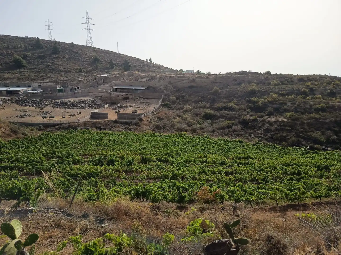 Terreno rustico in vendita a Arico, imagen 6