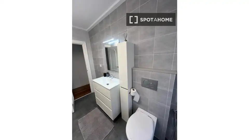 Bany de Apartament per a compartir en Bilbao  amb Aire condicionat, Calefacció i Terrassa