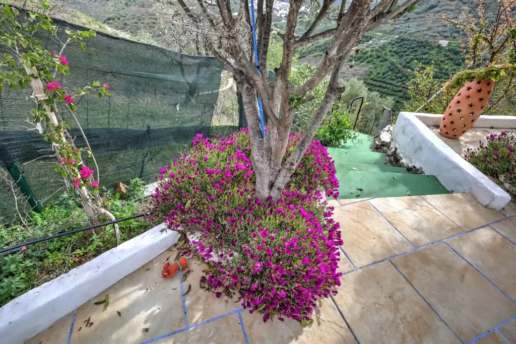 Casa rustica con piscina in vendita a Vélez-Málaga ciudad, imagen 34