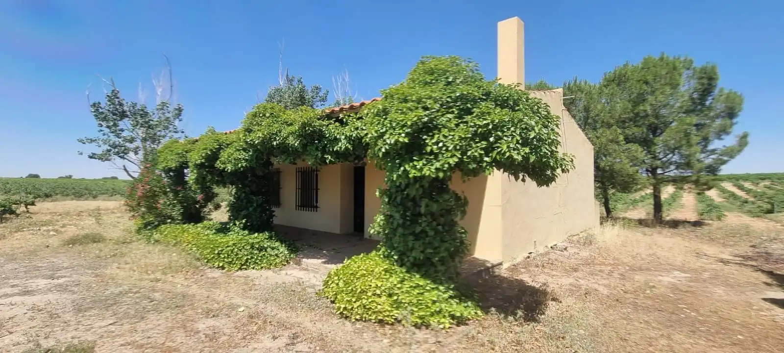 Casa rústica en venda a Villarrobledo, imagen 56