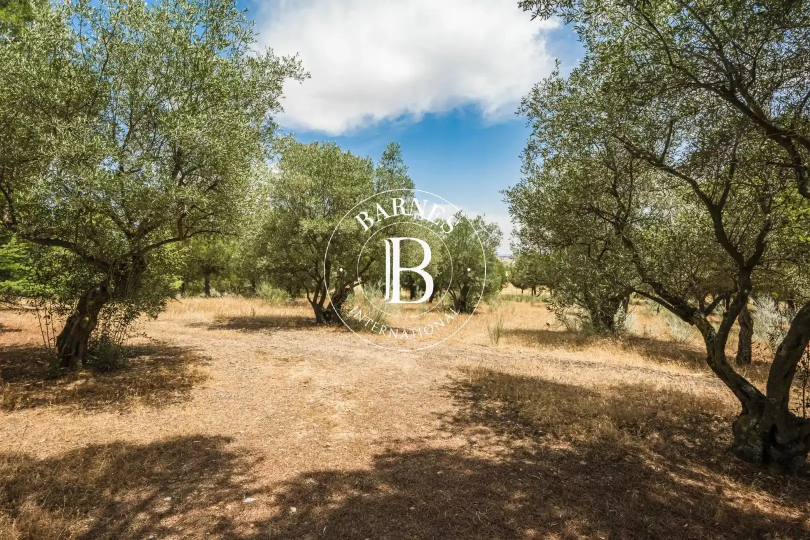 Casa o chalet en venta en Ribatejada con Aire acondicionado, Calefacción y Piscina