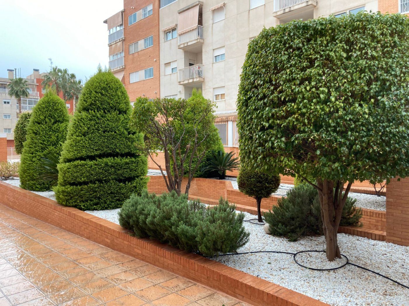 Garden of Flat for sale in Elche / Elx  with Air Conditioner, Terrace and Storage room