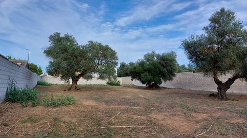 Photo 2 of Residential for sale in Urbanizacion del Casquero, 43, Arco Norte - Avda. España, Dos Hermanas