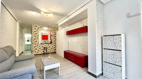 Photo 4 of Study to rent in Nueva Torrevieja, Torrevieja