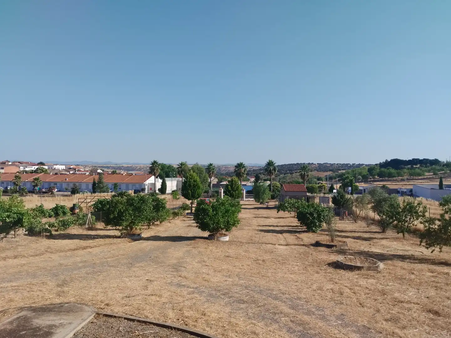 Finca rústica en venda en Atalaya amb Jardí privat i Traster