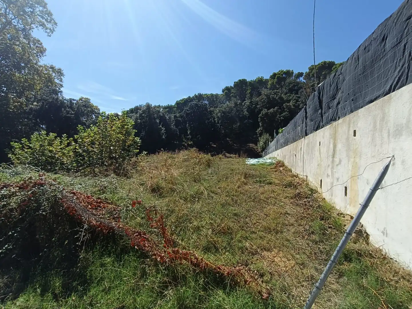 Lands and plots for sale in CASTELL DOSRIUS 19