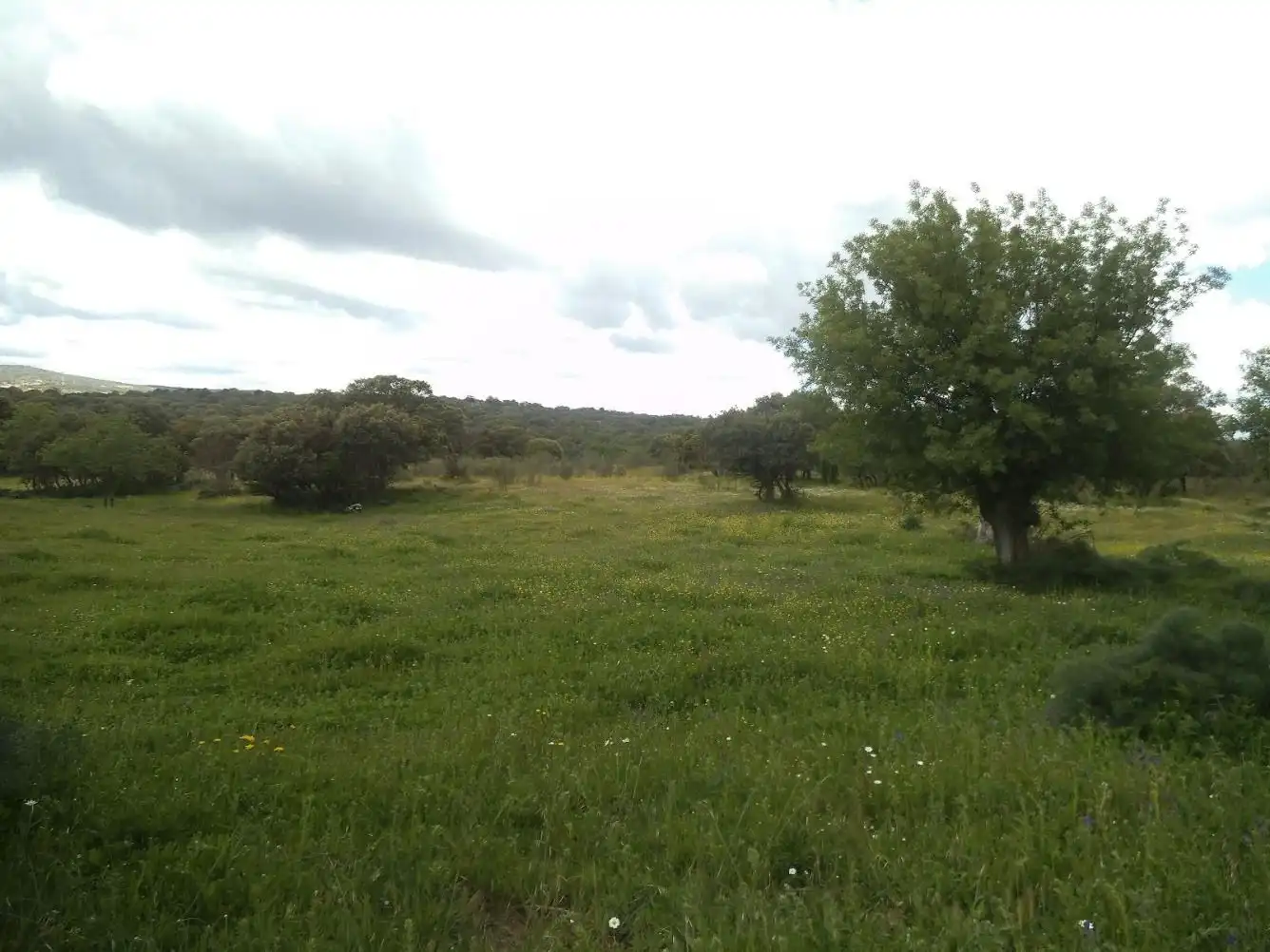 Residencial en venda en Valdemorillo