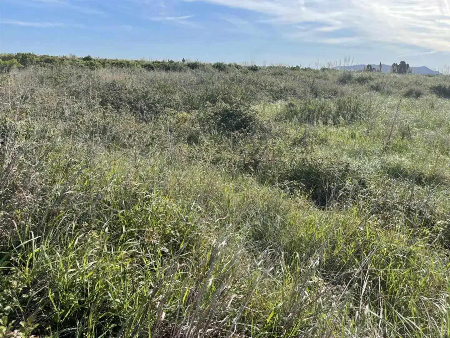 Finca rústica en venta en Polinyà de Xúquer