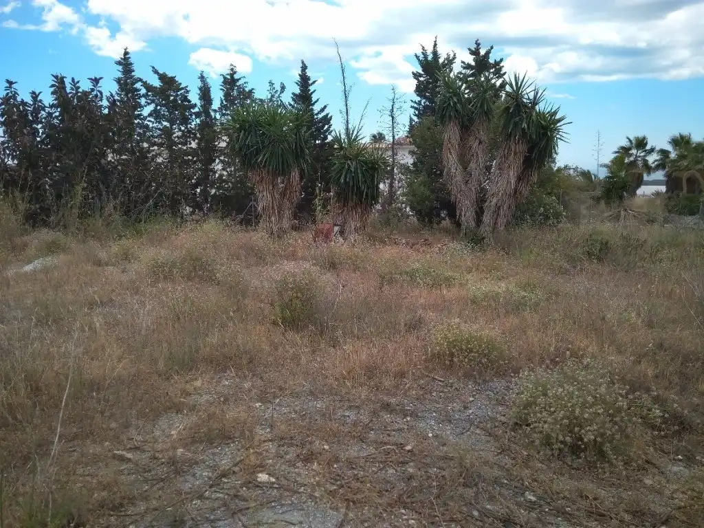 Rural land for sale in Almayate, imagen 10