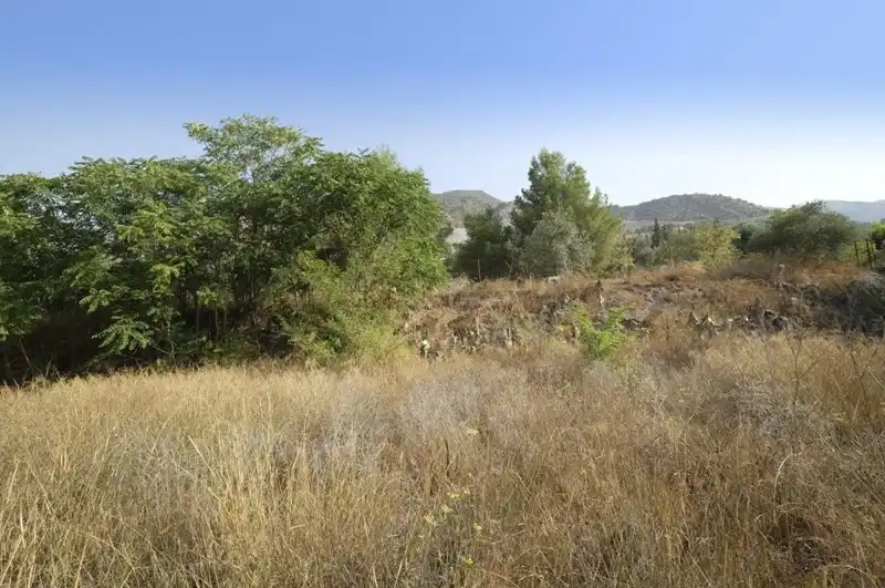 Terreni e lotti in vendita a Padul, imagen 19
