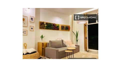 Photo 3 of Study to share in El Botànic,  Valencia Capital