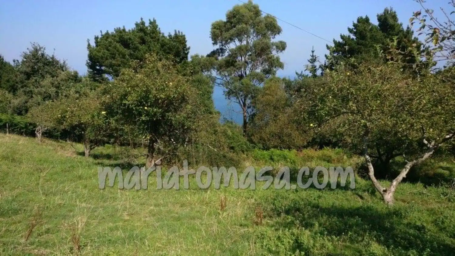 Residencial en venta en Ibarrangelu