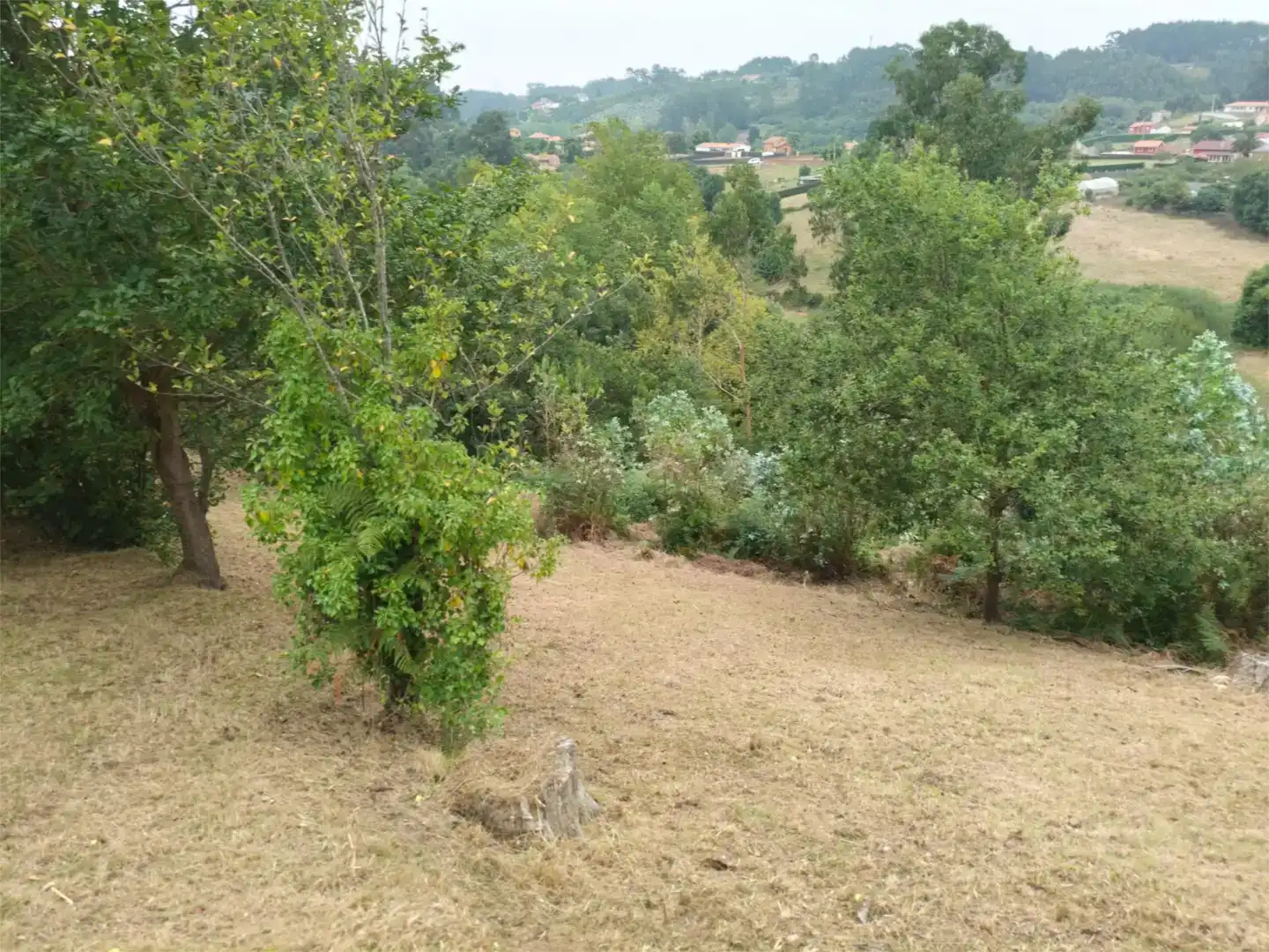 Casa o xalet en venda en Castrillón