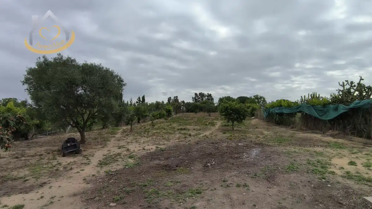 Casa o chalet en venta en Cartaya con Aire acondicionado, Jardín privado y Terraza