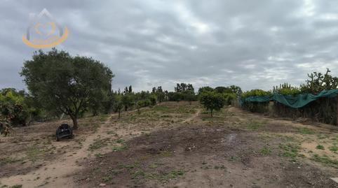 Photo 2 of House or chalet for sale in Sector Suelo Sapu R11 y D2, 4, Cartaya, Huelva