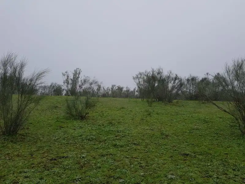 Terreni e lotti in vendita a Oliva de Plasencia, imagen 6