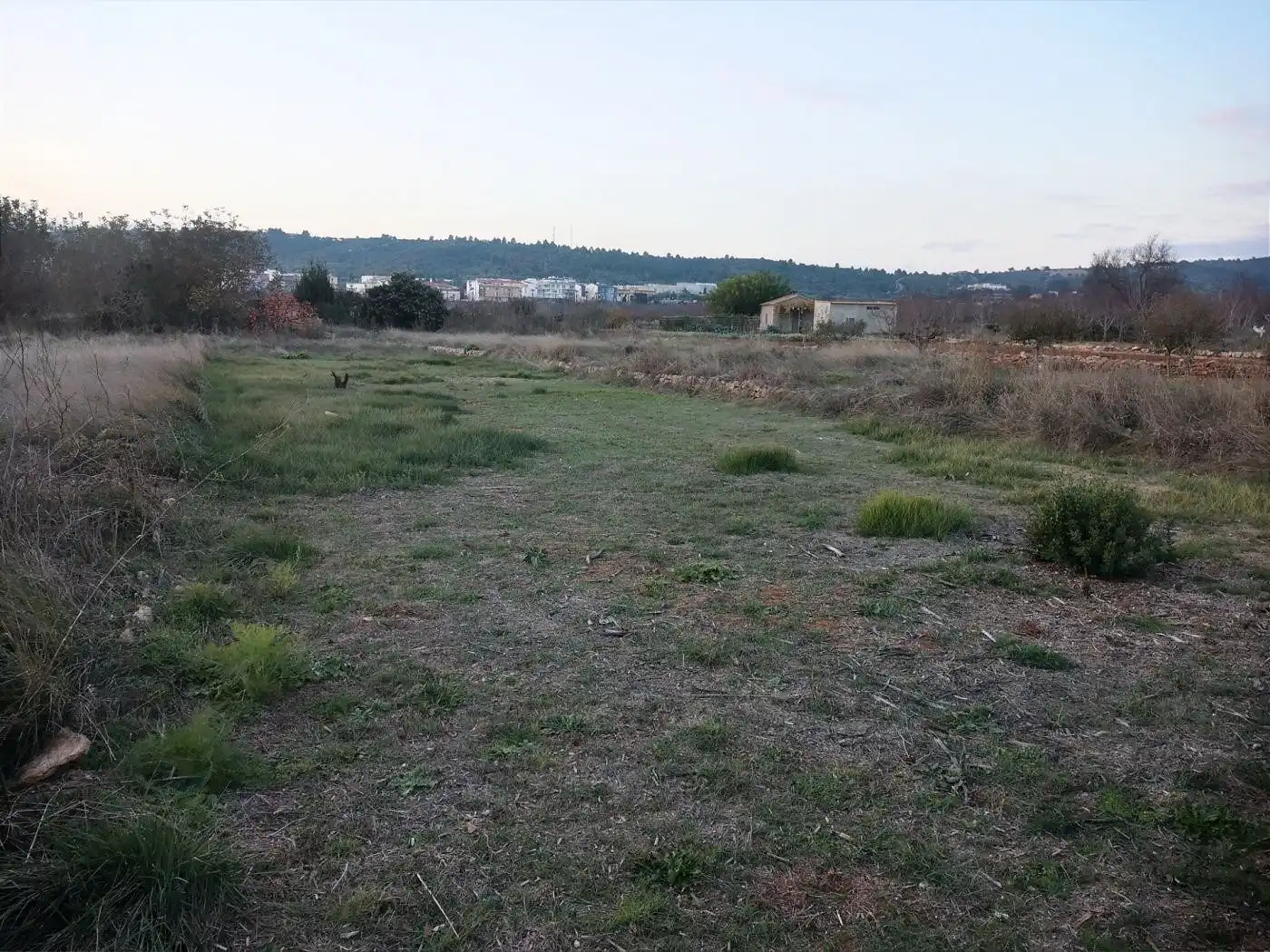 Terreny rústic en venda a Vall d'Alba, imagen 2