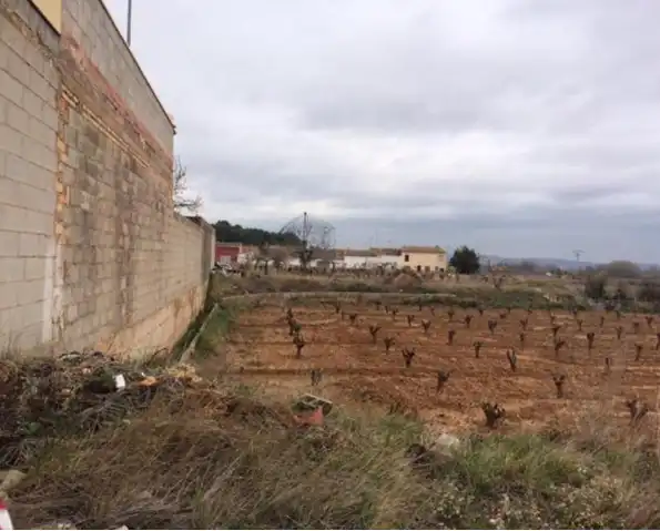 Terrain résidentiel à vendre à Requena, imagen 4