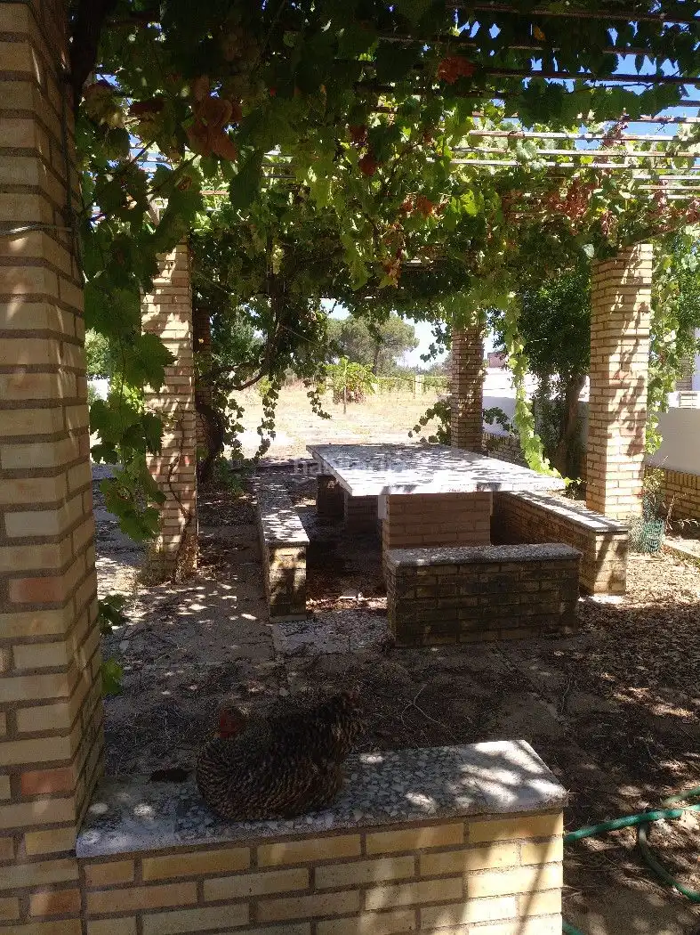 Terrenos y solares en venta en Finca la Calvilla 8, imagen 2
