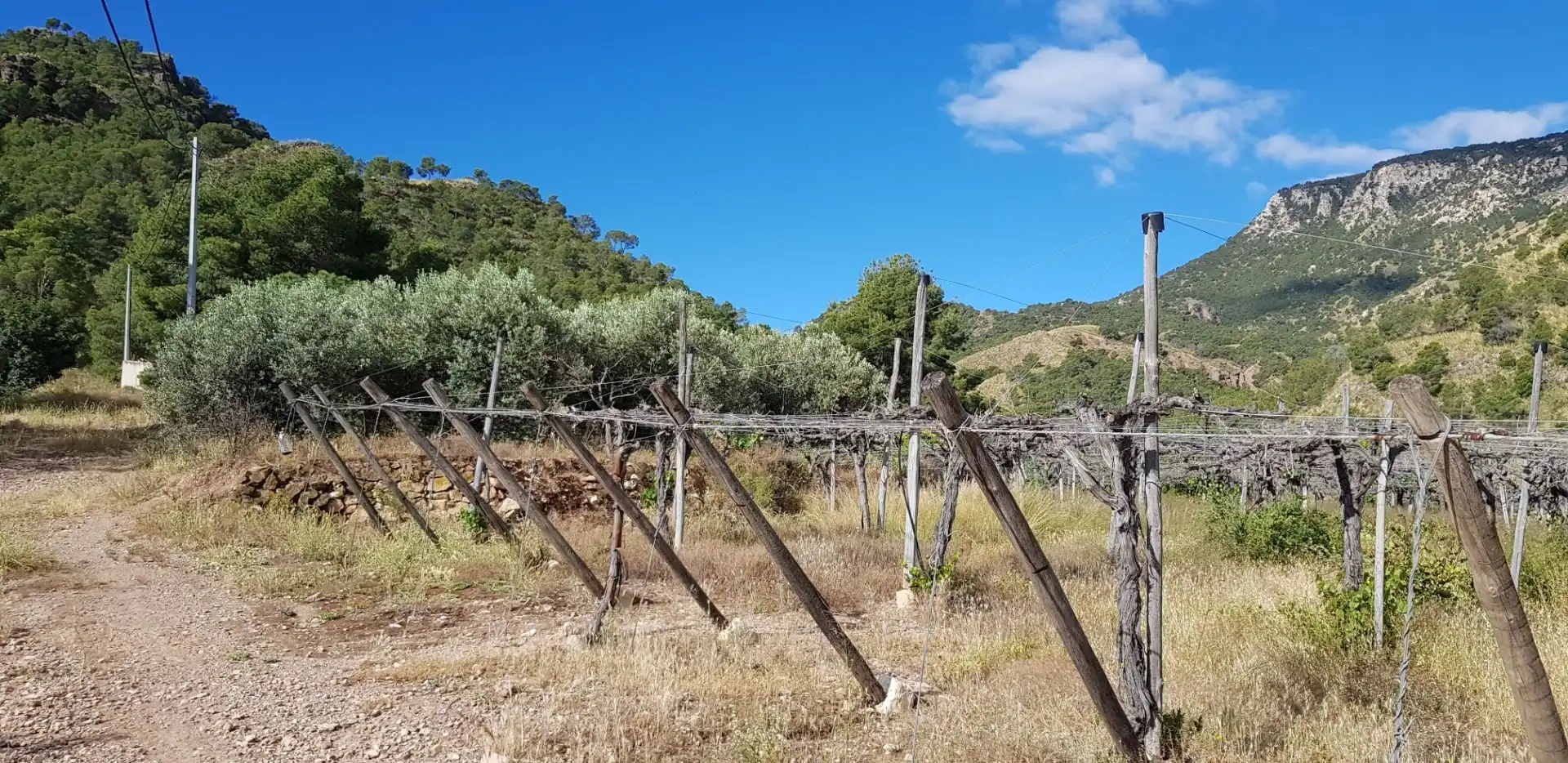 Casa o chalet en venta en Aledo con Terraza y Trastero