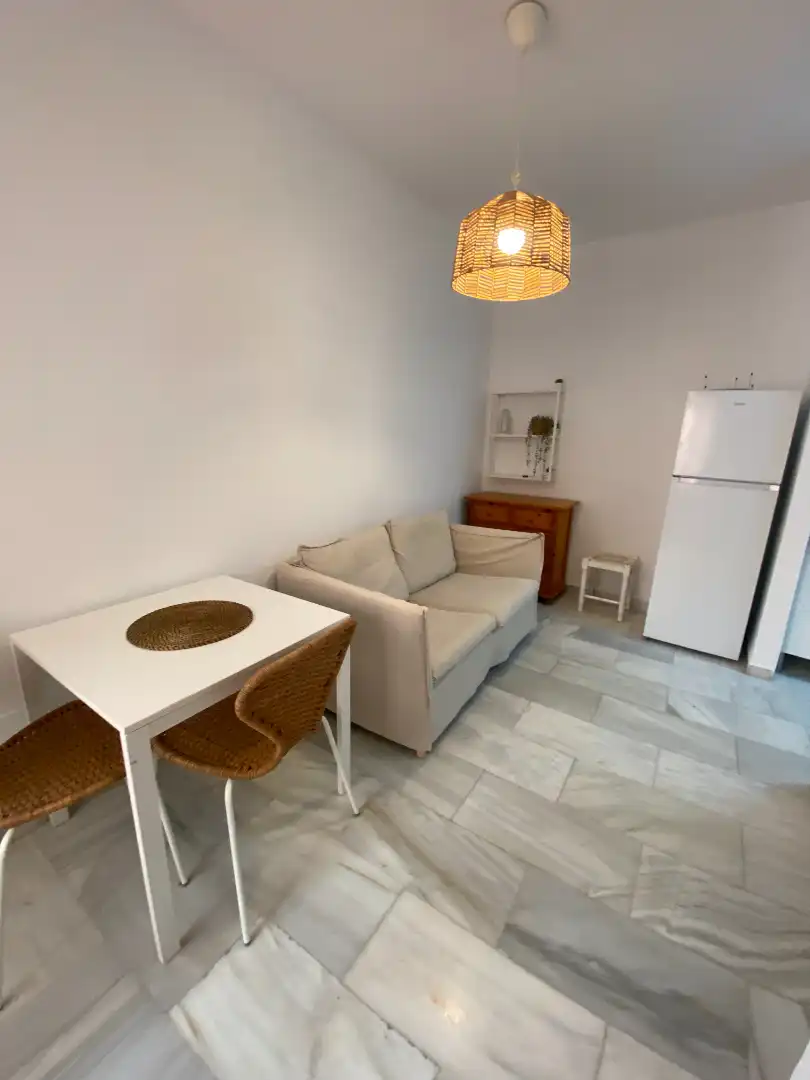 Sala d'estar de Apartament de lloguer en Málaga amb Aire condicionat, Moblat i Rentadora