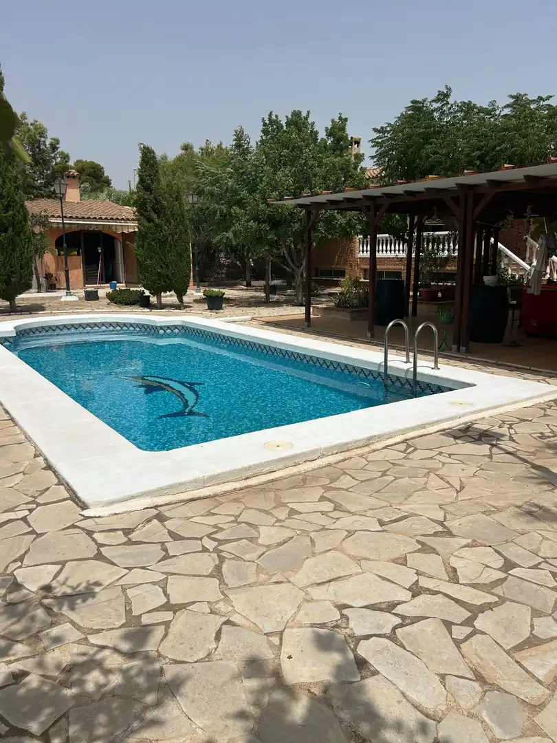 Piscina de Casa o xalet en venda en San Vicente del Raspeig / Sant Vicent del Raspeig amb Aire condicionat, Calefacció i Jardí privat