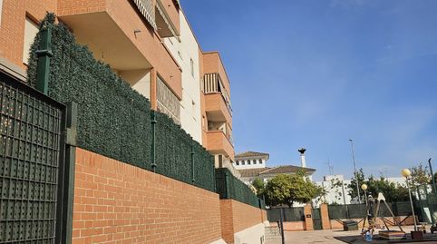 Foto 3 de Piso en venta en Pago San José - Princi - Jerez, Jerez de la Frontera