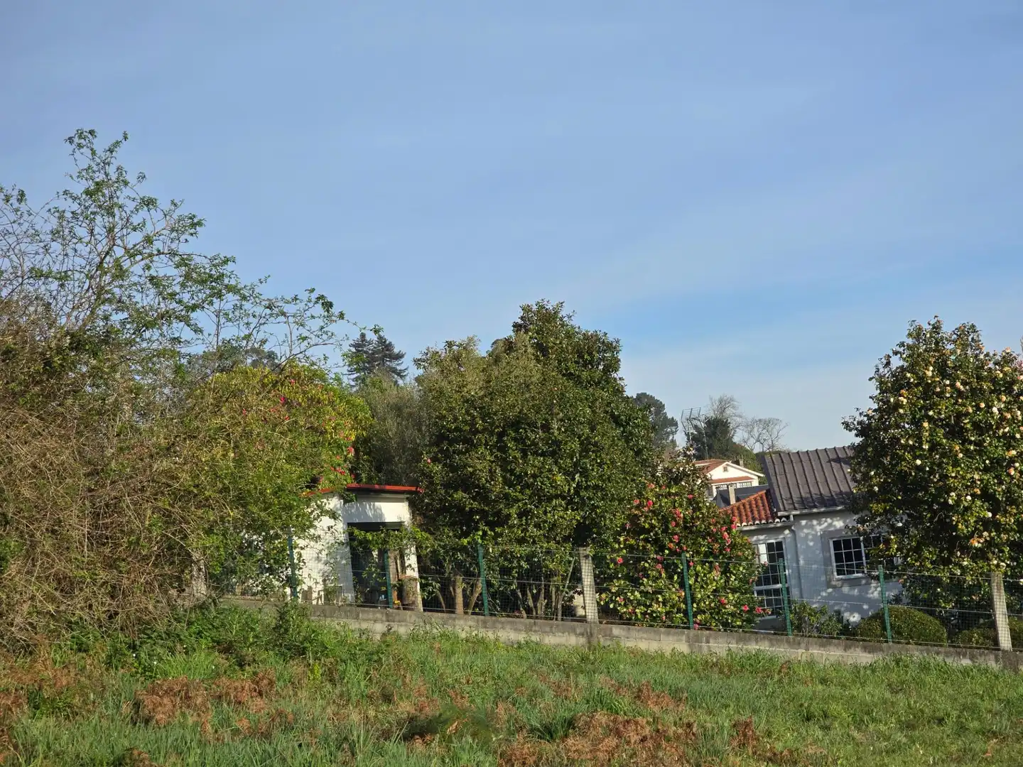 Terreni e lotti in vendita a Almeiras, imagen 6