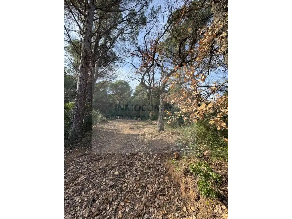 Terreno rústico en venta en Poligono 9 Paraje 190 Serra Sa 52-P, imagen 4