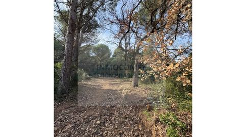 Terreno rustico en venta en Ullastret, immagine 4