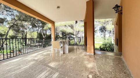 Foto 5 de Finca rústica en venda a Carcaixent, Valencia