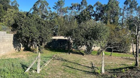 Immagine 2 dell'annuncio