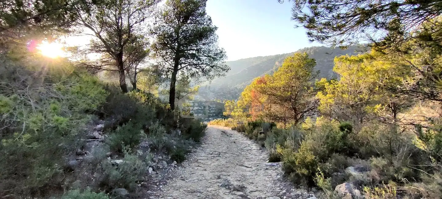 Terreny rústic en venda a Les Urques, imagen 5