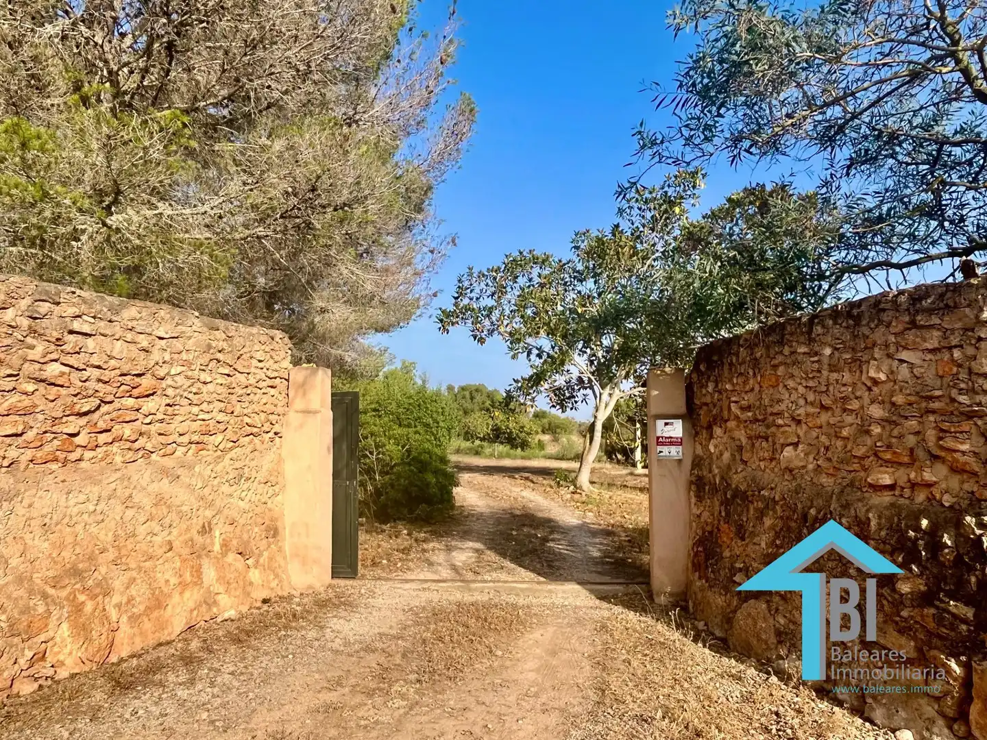 House with pool for sale in Llucmajor pueblo, imagen 4