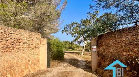 Refugio Espiritual junto a Llucmajor  Hogar con Energía y Belleza Natural, immagine 4