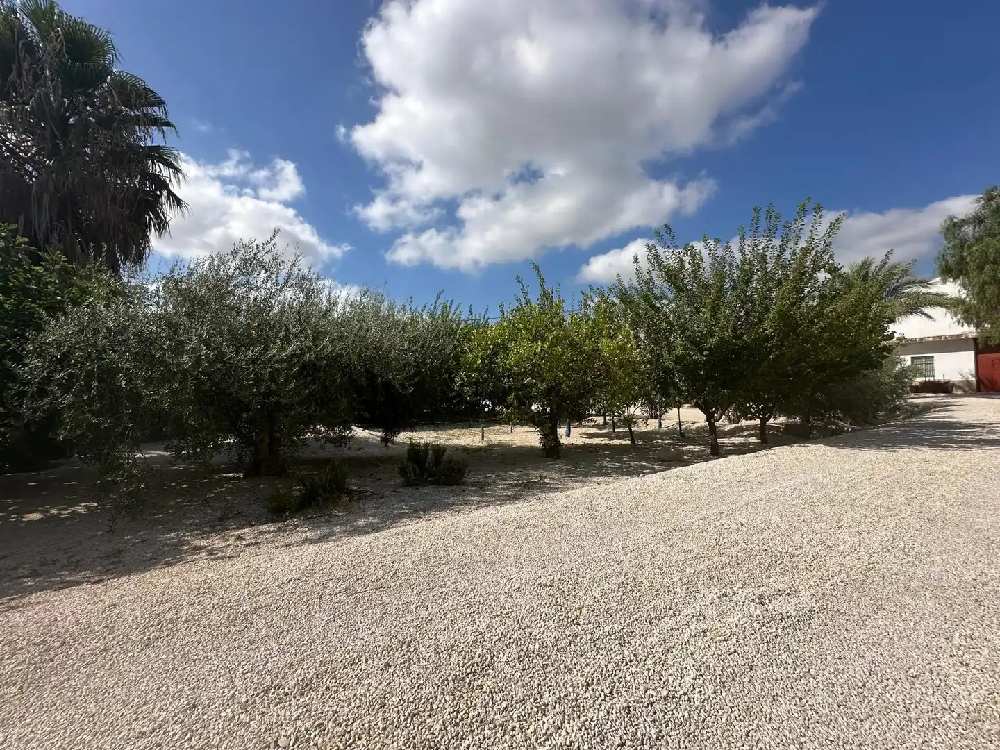 Casa con giardino in vendita a Crevillent, imagen 4