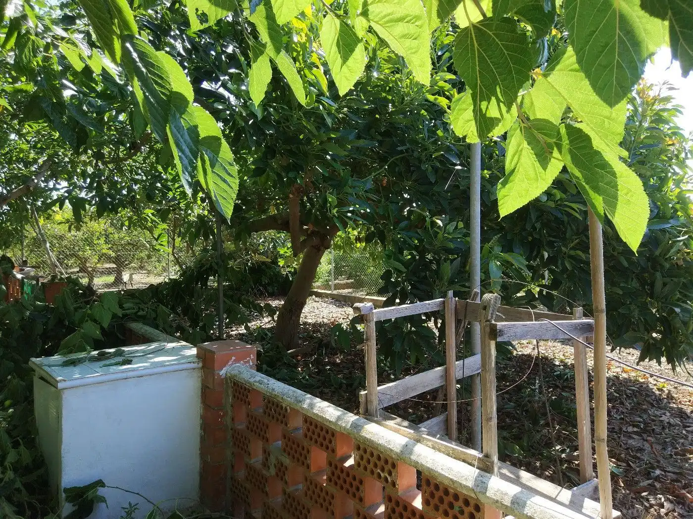 Terreno rústico en venta en Plaça Poligono 13 73, imagen 15