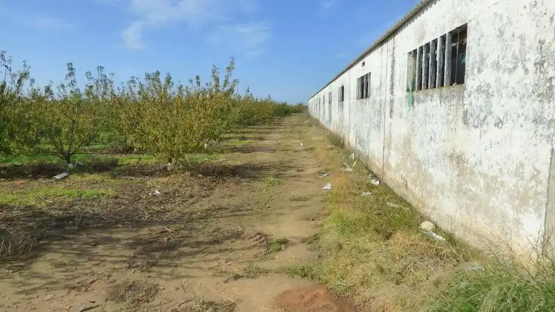 Nave industrial en venta en Puebla de la Calzada