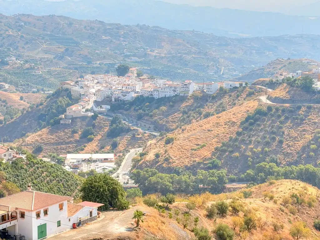 Vista exterior de Finca rústica en venta en Almáchar con Jardín privado, Trastero y Piscina