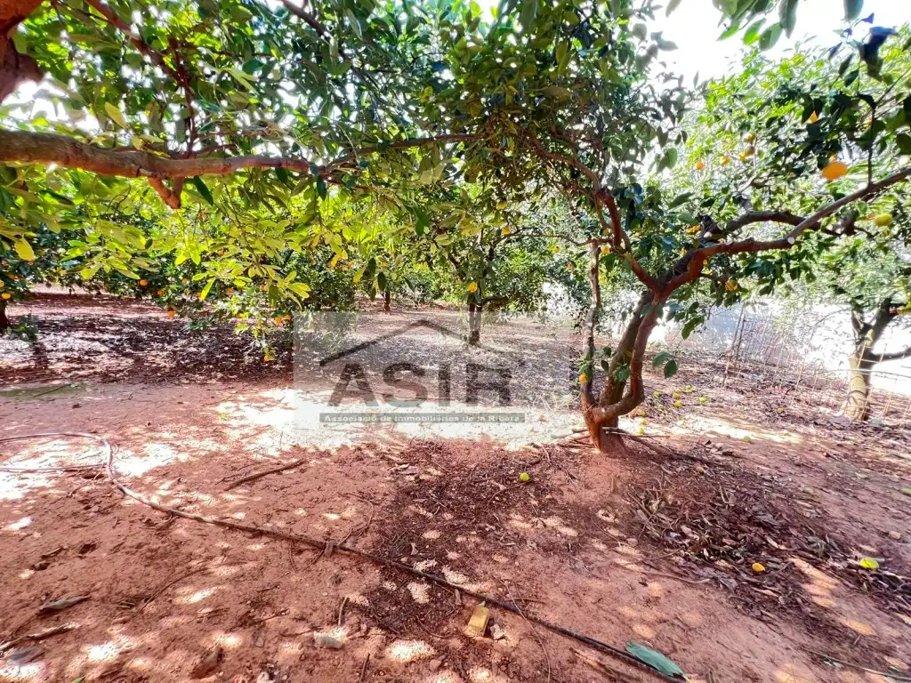 Casa o xalet en venda a Calle Serra De La Murta, Urbanitzacions i Pedanies Nord