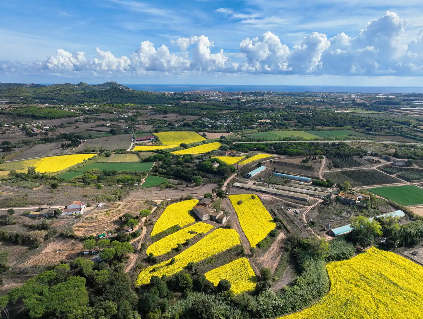 Finca rústica en venda en Mas Mora - Sant Daniel