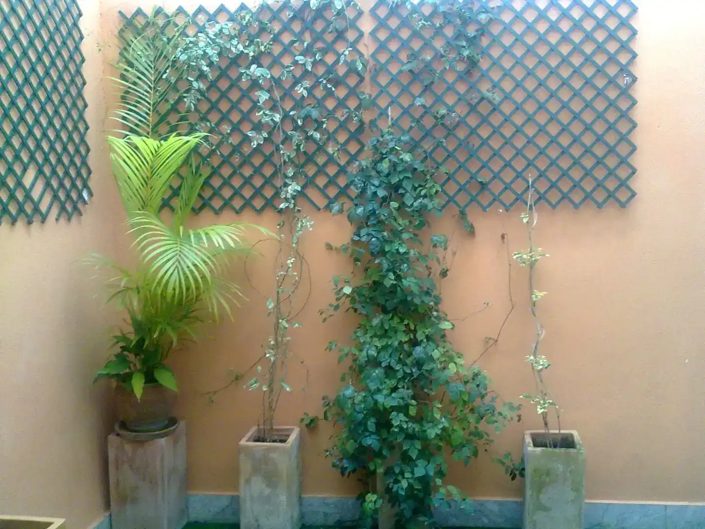 Terrace of Flat for rent in Sevilla  with Air Conditioner and Private garden