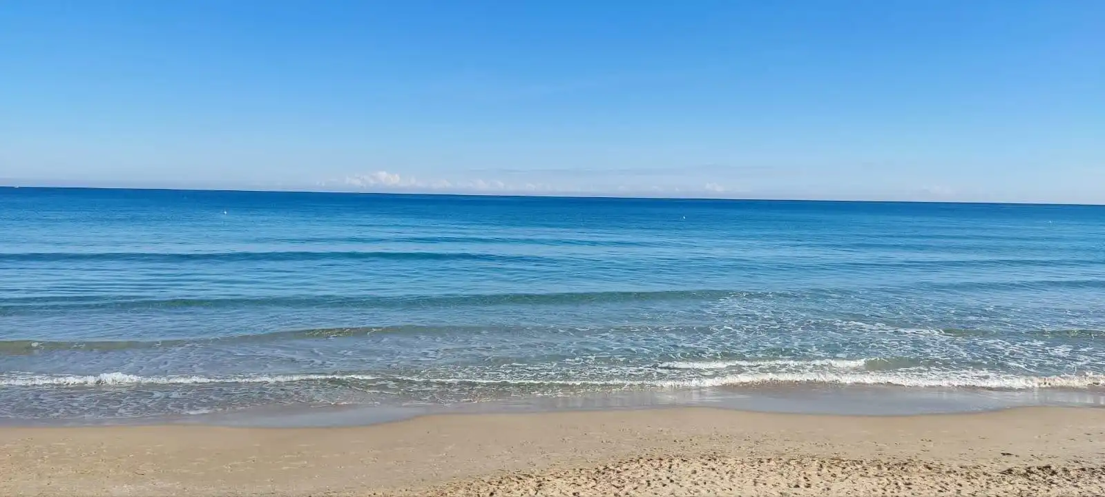 Houses for rent in Los Arenales del Sol