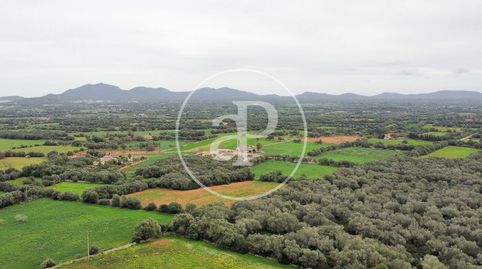 Foto 3 von Residential zum Verkauf in Camí de Ses Pedreres, Felanitx Poble, Felanitx