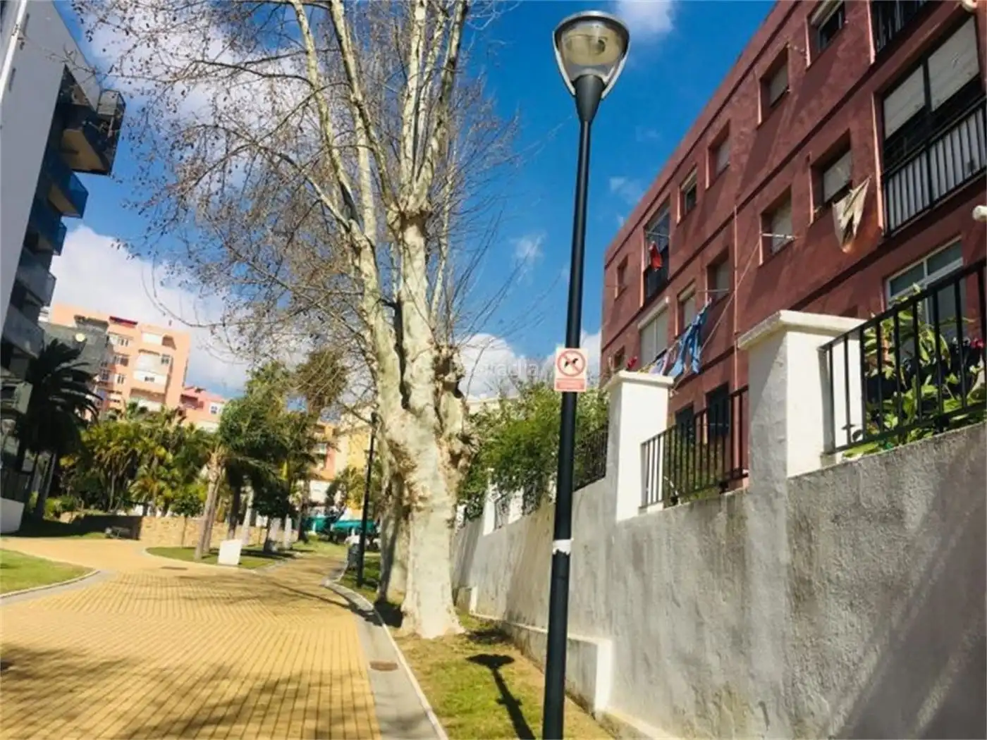 Piso con jardín en alquiler en Avenida Agustín Bálsamo 10, imagen 17