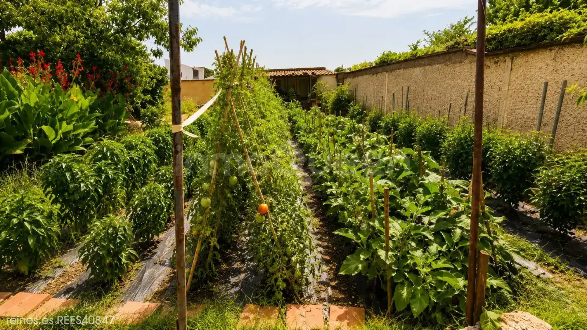 Jardí de Casa o xalet en venda en San Mateo de Gállego amb Calefacció, Jardí privat i Terrassa