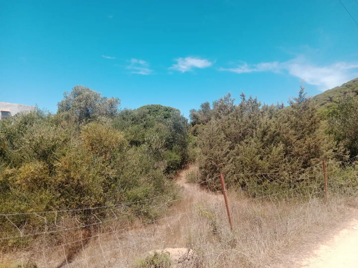 Rustikales Grundstück zum Verkauf in Las Lagunas - Campano, imagen 14